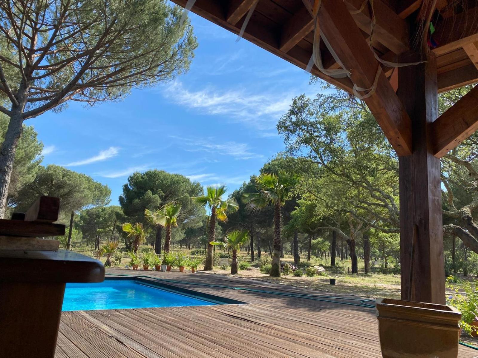 Herdade De Montalvo - Comporta Buitenkant foto